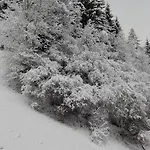 Brunner 3* Bad Kleinkirchheim