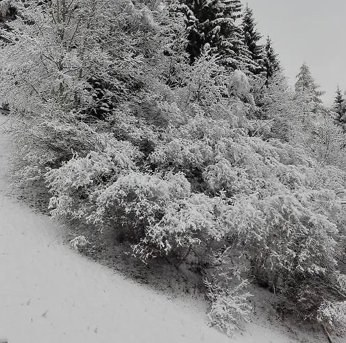 Brunner * Bad Kleinkirchheim